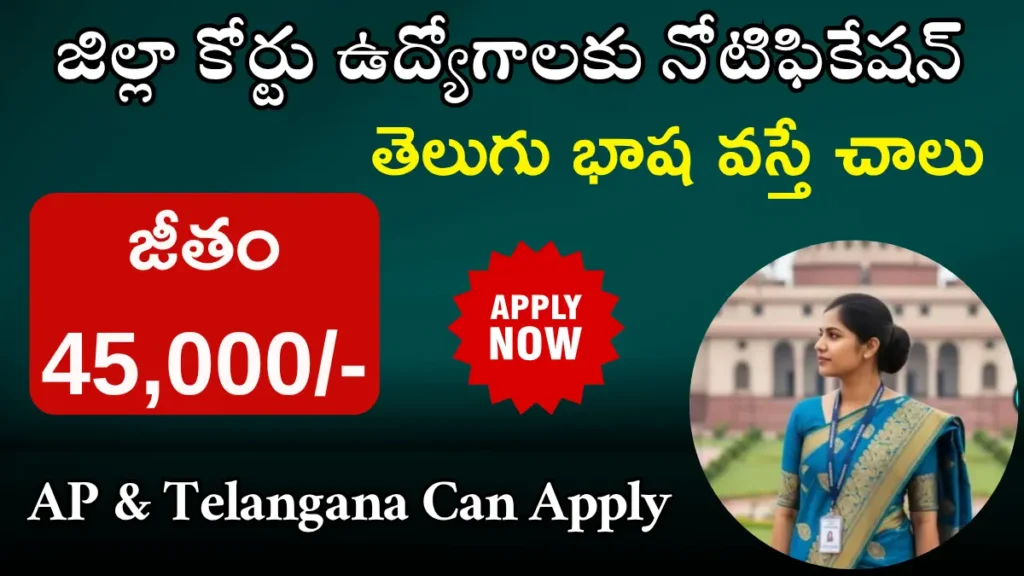 District Court Jobs 2025