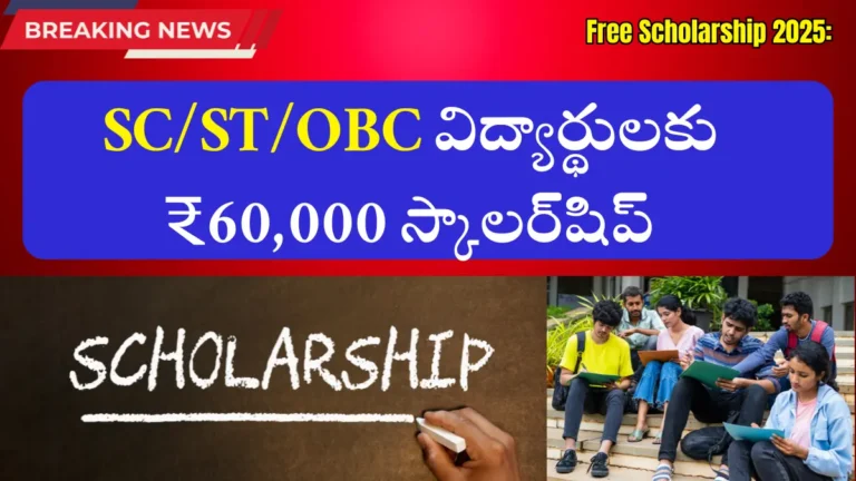 Free Scholarship 2025