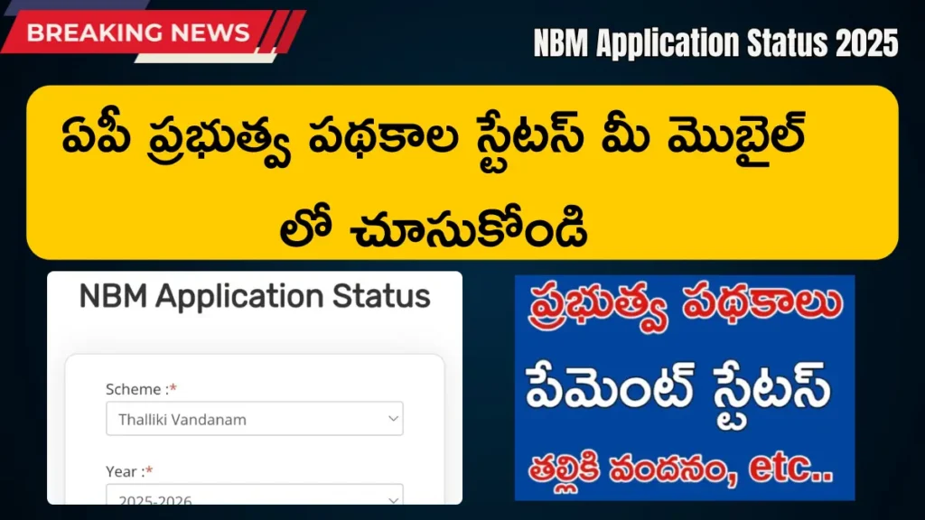 NBM Application Status 2025