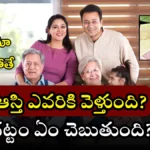 Who inherits property without the father's will