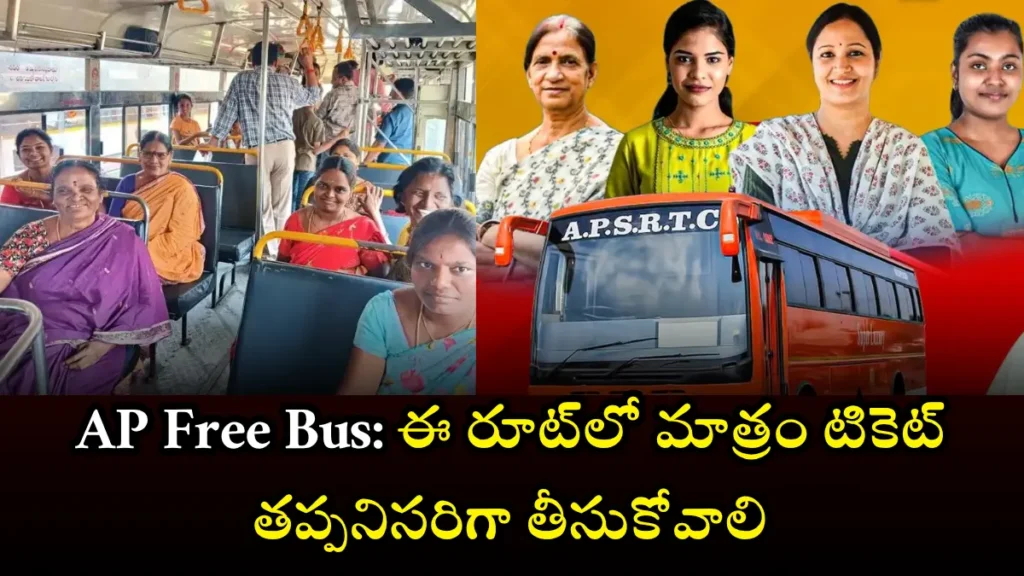 AP Free Bus for Women