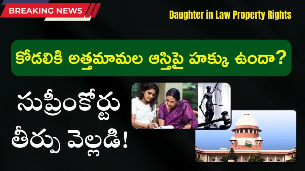 Daughter in Law Property Rights