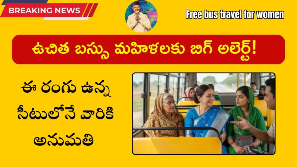 Free bus travel for women