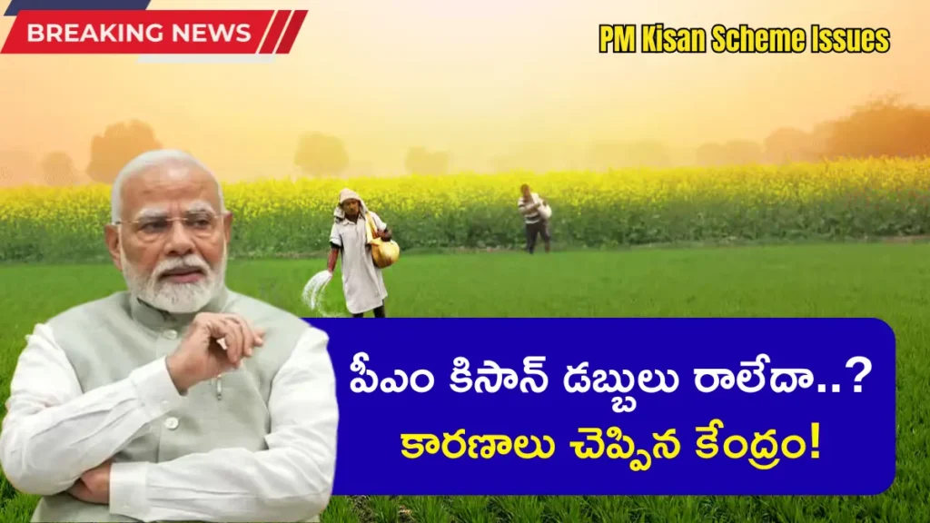 PM Kisan Scheme Issues