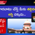 Property Rights to Childrens