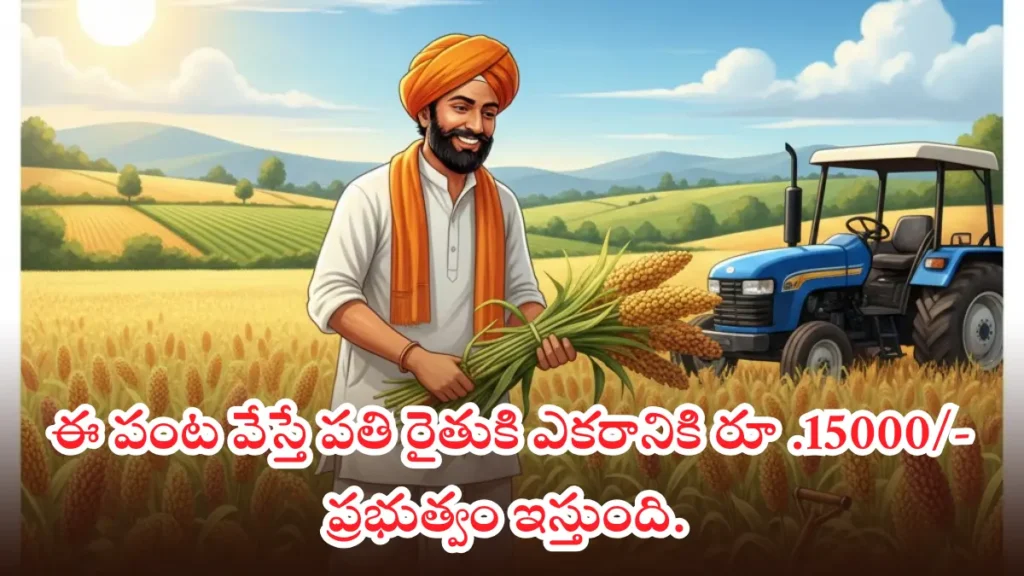 Millets farming subsidie