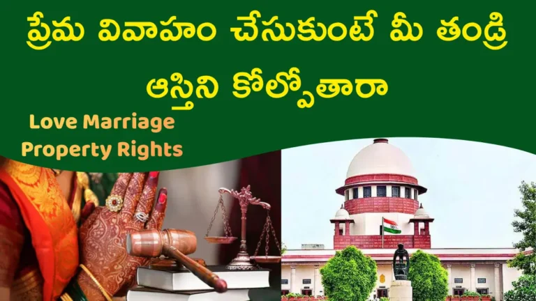 Love Marriage Property Rights