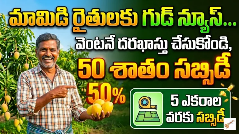 Mango Fruit Bag Subsidy