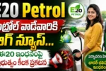 E20 Petrol