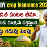 AP PMFBY Deadline Extension