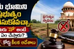 Allahabad High Court land acquisition ruling