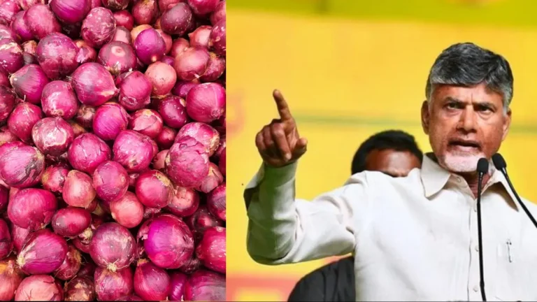 AP Onion Price Rs 35